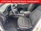 Used 2023 Ford Escape Active image 2