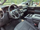 Used 2020 Chevrolet Silverado 1500 LT w/ All-Star Edition image 3
