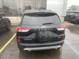 Used 2022 Ford Escape Titanium image 5