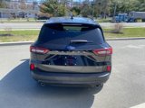 Used 2025 Ford Escape ST-Line w/ Tech Pack #1 image 4