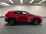 Certified 2025 Lexus NX 250 FWD image 4