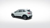 Used 2020 Ford Escape Titanium image 3