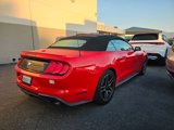 Used 2019 Ford Mustang Premium image 2