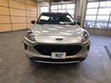 Certified 2020 Ford Escape SE Sport image 2