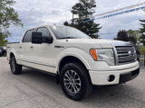 Used 2009 Ford F150 Platinum image 3