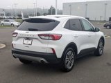 Used 2022 Ford Escape SEL image 5