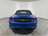 Used 2020 Ford Mustang Premium w/ Equipment Group 201A image 6
