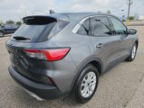 Used 2022 Ford Escape SE image 2