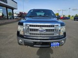 Used 2014 Ford F150 XLT image 3
