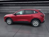 New 2025 Ford Escape Active w/ Cold Weather Package image 5