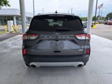 Used 2020 Ford Escape SEL image 5
