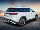 New 2025 INFINITI QX60 Luxe w/ Cargo Package image 3