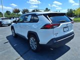 Used 2019 Toyota RAV4 XLE Premium image 3