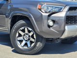 Used 2019 Toyota 4Runner TRD Off-Road Premium image 4