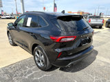 Used 2024 Ford Escape ST-Line image 5