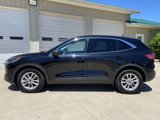 Used 2022 Ford Escape SE image 4