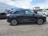 Used 2020 Ford Escape SEL image 3