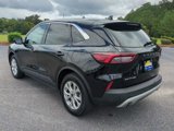 Certified 2024 Ford Escape Active image 5