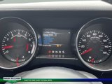 Used 2015 Ford Mustang Premium w/ Equipment Group 201A image 4