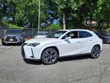 Certified 2022 Lexus UX 250h w/ Premium Package image 3