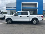 Used 2016 Ford F150 XLT w/ Equipment Group 301A Mid image 3
