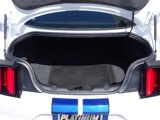Used 2017 Ford Mustang Shelby GT350 image 6