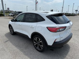 Used 2022 Ford Escape SE w/ SE Sport Appearance Package image 3