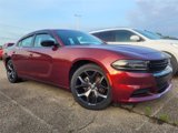 Used 2020 Dodge Charger SXT w/ Blacktop Package image 3