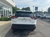 Used 2020 Toyota RAV4 XLE Premium image 4