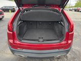 Used 2019 Cadillac XT4 Premium Luxury image 5