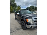 Used 2015 Ford F150 XLT w/ Equipment Group 301A Mid image 3