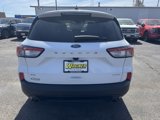 Used 2022 Ford Escape SE w/ SE Sport Appearance Package image 4