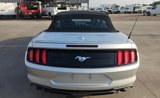 Used 2019 Ford Mustang Premium image 3