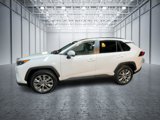 Used 2019 Toyota RAV4 XLE Premium image 4