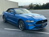 Used 2019 Ford Mustang Convertible w/ Equipment Group 101A image 3