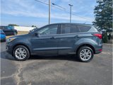 Used 2019 Ford Escape SE image 4