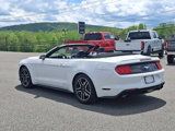 Certified 2019 Ford Mustang Premium image 4