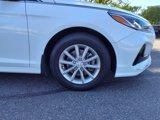Used 2019 Hyundai Sonata SE w/ Winter Weather Package image 5
