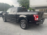 Used 2017 Ford F150 XLT w/ Equipment Group 302A Luxury image 6