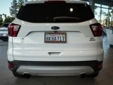 Used 2019 Ford Escape SE image 4