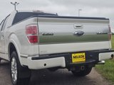 Used 2013 Ford F150 Platinum image 3