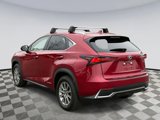 Used 2020 Lexus NX 300h AWD w/ Comfort Package image 4