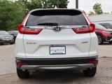 Used 2019 Honda CR-V EX-L image 6