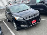 Used 2014 Ford Escape Titanium w/ Equipment Group 401A image 3