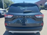 Certified 2022 Ford Escape SE w/ Convenience Package image 5