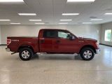 Used 2014 Ford F150 XLT w/ Equipment Group 301A Mid image 6