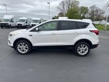 Used 2019 Ford Escape SE image 4