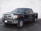 Used 2013 Ford F150 XLT w/ Luxury Equipment Group image 6
