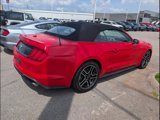 Certified 2022 Ford Mustang Premium image 2