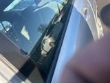 Used 2008 Honda Civic LX image 3